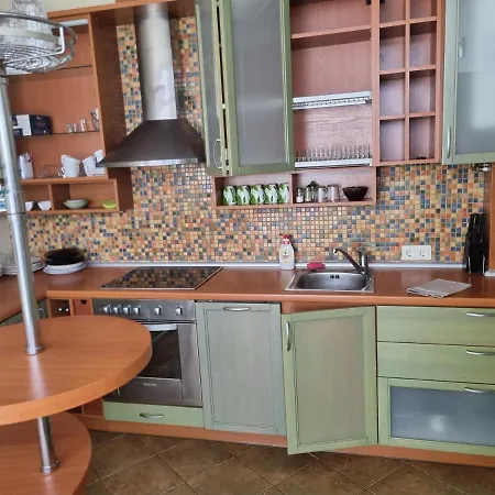 Livingpalanga - S. Neries Apartament *