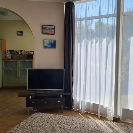 Livingpalanga - S. Neries Palanga