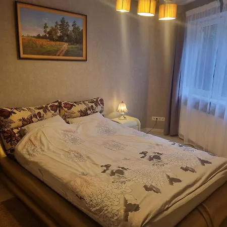 Apartment Livingpalanga - S. Neries *