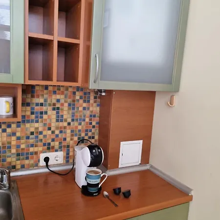 Livingpalanga - S. Neries Apartament *