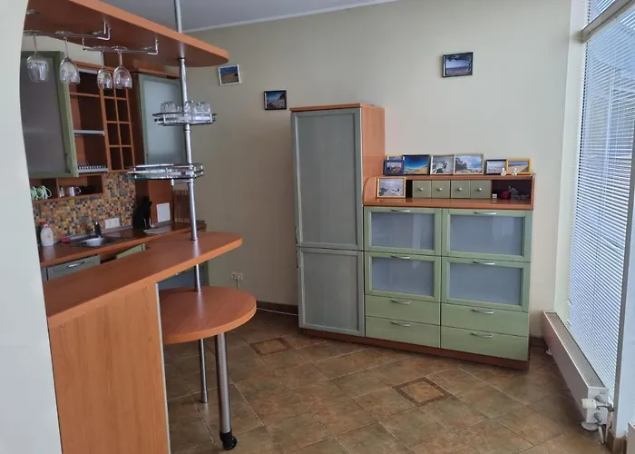 Livingpalanga - S. Neries דירה