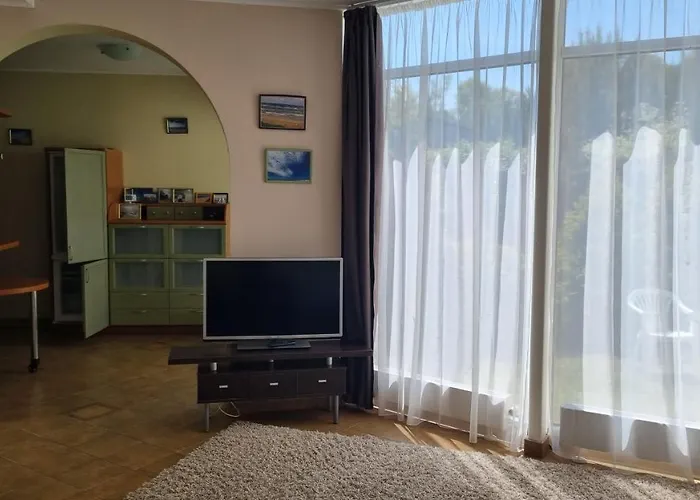 Livingpalanga - S. Neries Palanga